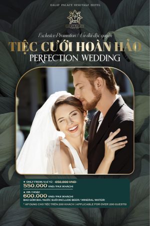 tieccuoihoanhaor